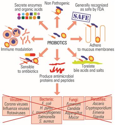 Role of probiotics in managing various human diseases Frontiers